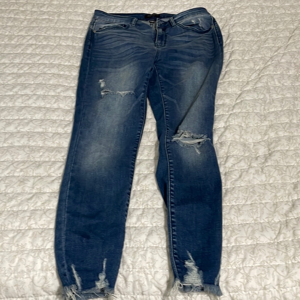 Judy Blue Shark Tooth Skinny Jean